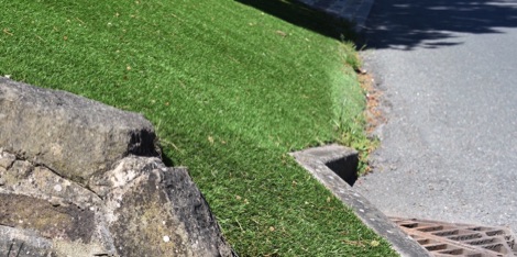 Plastic grass